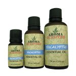 Eucalyptus Essential Oils Aromatherapy